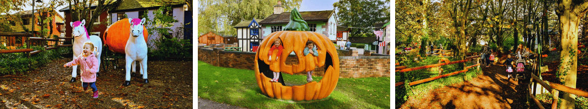 photos of Halloween at Sundown Adventureland